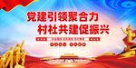党建引领 村社共建