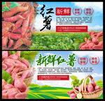 红薯