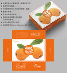 枇杷包装 水果礼盒