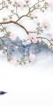 高清 简约热门玄关 TiF分层