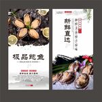 鲍鱼