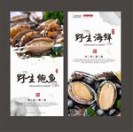 鲍鱼
