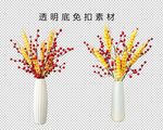 红果发财果