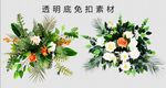 鲜花绿植