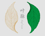 叶子 