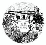 普洱茶包装插画