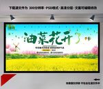 油菜花