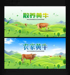 黄牛