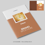 致青春小说封面