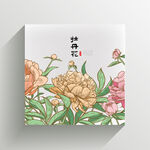 牡丹花插画