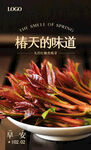 香椿 椿芽海报