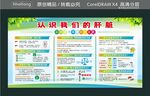科普课件 认识我们的肝脏宣传栏