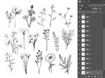 白描花枝