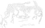 花鸟图