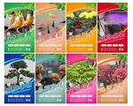 花鸟鱼虫市场宣传灯箱