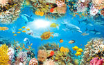 3D海底生物地板电视背景墙