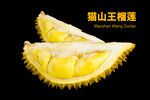 榴莲海报