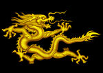 龙