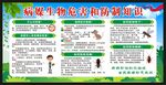病媒生物危害和防制知识宣传栏