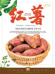 红薯