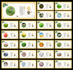 24节气图片
