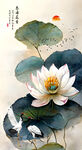 国画荷花