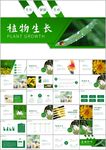 植物发芽植物生长敬畏生命ppt