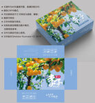 李子包装 水果盒子
