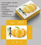 李子包装 水果盒子