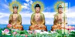 娑婆三圣