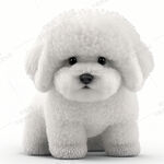 比熊犬