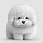 卡通比熊犬