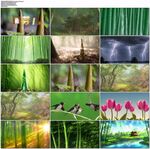 朗诵《笋芽儿》led舞台背景视