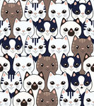 小猫