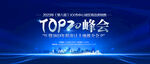TOP20峰会