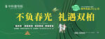 地产春天活动绿色系