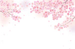 樱花素材