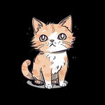 小猫