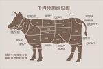 牛肉分解图