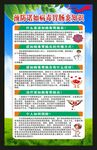 健康教育知识海报