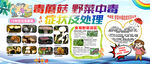 毒蘑菇野菜中毒的症状及处理