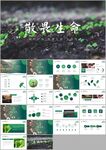 植物发芽植物生长敬畏生命ppt