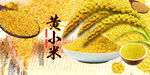 黄小米