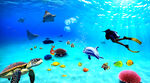 水族馆