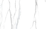 人气 新高端爵士白 文件合层
