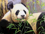 大熊猫油画