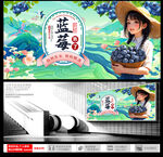 蓝莓 