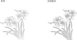 兰花 矢量图