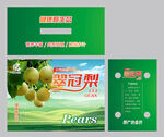 翠冠梨包装