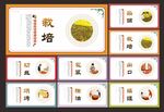 烟草文化